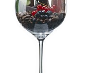 cabernet sauvignon