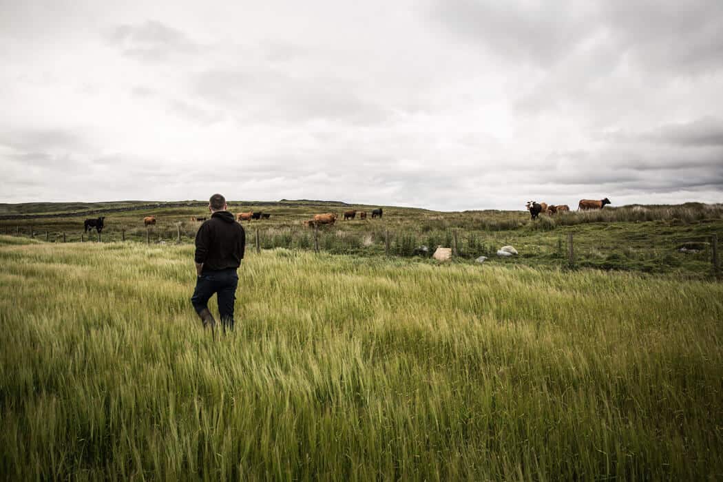 spirituosen, getraenke Transparent, einzigartig und auch gemixt ein Genuss: The Classic Laddie von Bruichladdich gerste - spirituosen, getraenke Transparent, einzigartig und auch gemixt ein Genuss: The Classic Laddie von Bruichladdich