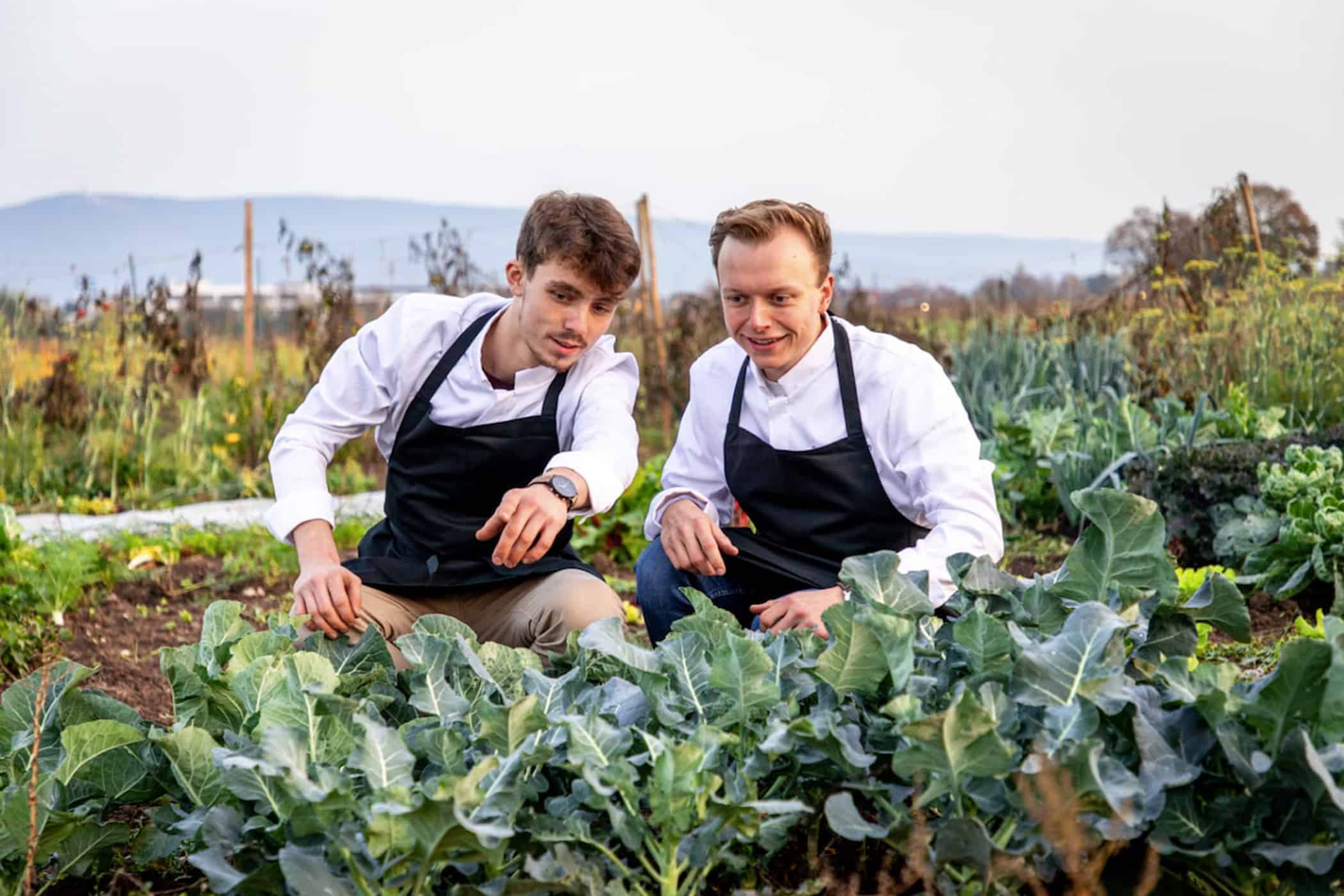 dustin dankelmann - interviews-portraits, gastronomie, food-nomyblog Dustin Dankelmann: „Was wir in unserem Garten anbauen, gibt es in keinem Supermarkt und bei keinem Lieferanten zu kaufen“