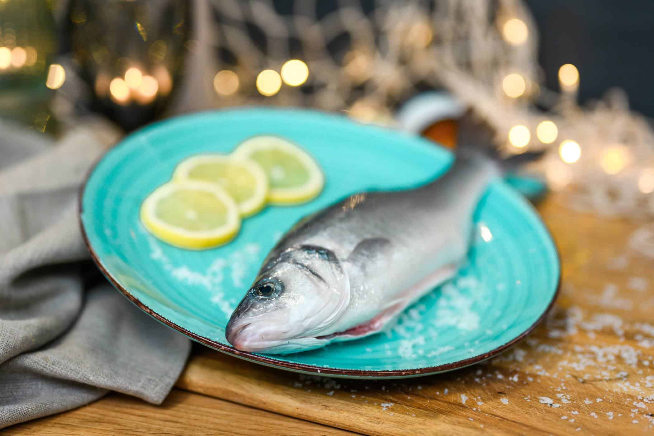 1 124 - gastronomie, food-nomyblog Seawater Cubes: Fisch vom Land für die Gastronomie