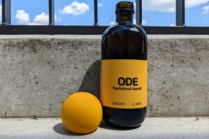 PXL 20220702 104037189 300x200 - PXL_20220702_104037189