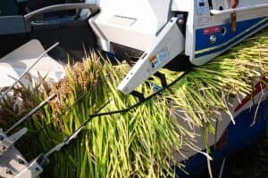 P1360164 300x200 - P1360164