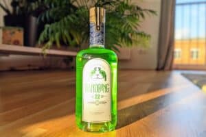 PXL 20221018 145229463 2 300x200 - PXL_20221018_145229463_2