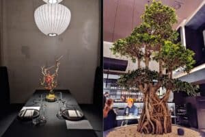 Neues Projekt 51 300x200 - Neues Projekt (51)