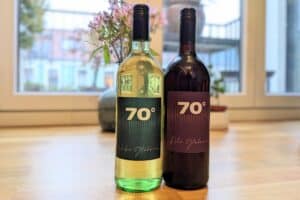 PXL 20221209 141614012 2 300x200 - PXL_20221209_141614012_2