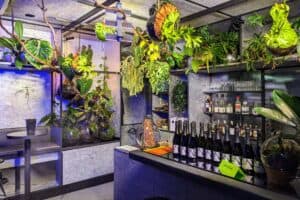 PXL 20230128 124950255 2 1 300x200 - PXL_20230128_124950255_2 (1)