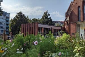 PXL 20210926 094528695 300x200 - PXL_20210926_094528695