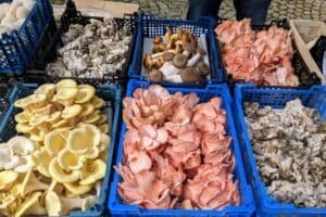 PXL 20230507 085529082 300x200 - PXL_20230507_085529082