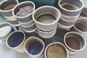 Botanicals zum anfassen PE 300x200 - Botanicals zum anfassen_PE