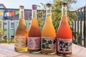 PXL 20230908 1640142152 300x200 - PXL_20230908_164014215~2