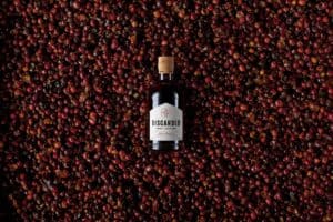 Discarded Vermouth Key Visual 1 300x200 - Discarded Vermouth Key Visual-1