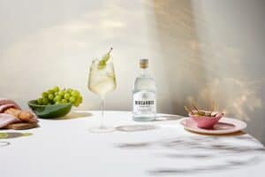 Vodka Grapeskin Spritz Flasche 300x200 - Vodka_Grapeskin_Spritz_Flasche