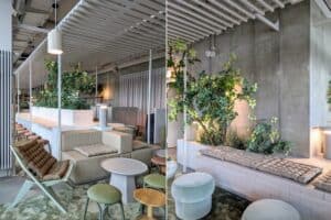 anima2 300x200 - anima2