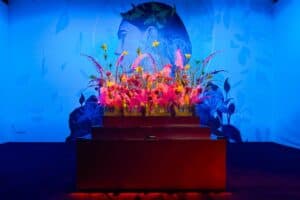 240202 Stories V B 27701 web 300x200 - 240202_Stories_V_B_27701_web