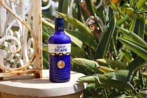 limoncello dicapri crema bottle still life shots 5 1 300x200 - limoncello-dicapri-crema-bottle-still-life-shots-5 (1)