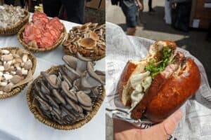 PXL 20240616 064500908 1 300x200 - PXL_20240616_064500908 (1)