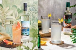 Baerensiegel Gin 300x200 - Baerensiegel_Gin