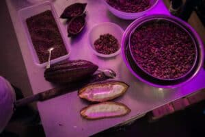 240616 ftt ZUTISCH24 JH 3218 1 300x200 - 240616_ftt_ZUTISCH24_JH_3218 (1)