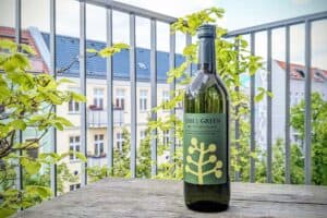 PXL 20250505 143135870 300x200 - PXL_20250505_143135870