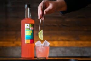 552A0051 2 300x200 - 552A0051 2