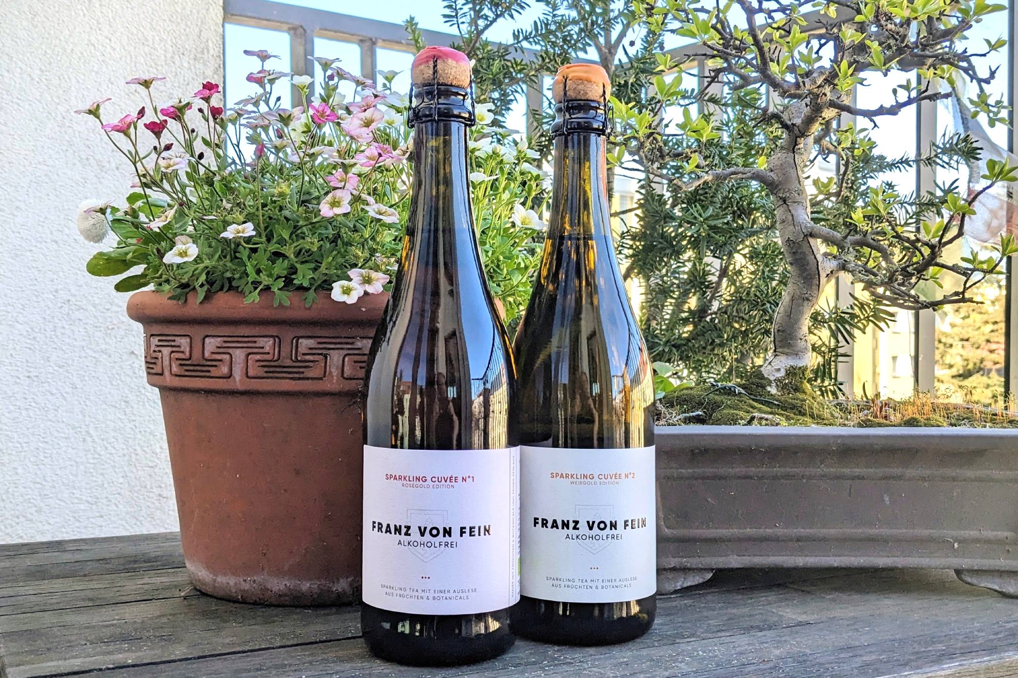 wein, spirituosen, gastronomie, alkoholfreie-getraenke Der Frühlings-Warenkorb 2026: 5 Produkte für Gastronomie und Genuss PXL 20260408 0751397652 - wein, spirituosen, gastronomie, alkoholfreie-getraenke Der Frühlings-Warenkorb 2026: 5 Produkte für Gastronomie und Genuss