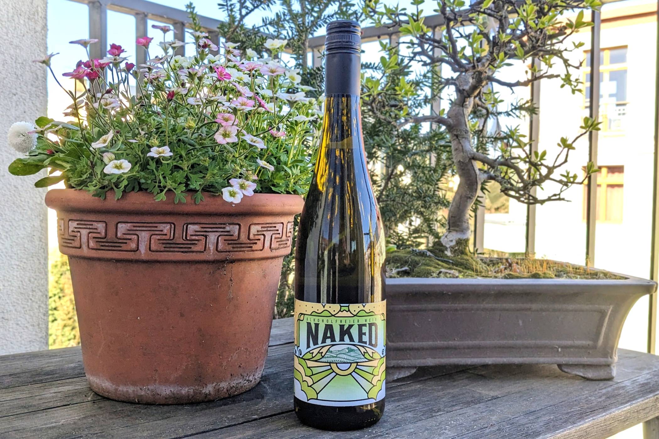 wein, spirituosen, gastronomie, alkoholfreie-getraenke Der Frühlings-Warenkorb 2026: 5 Produkte für Gastronomie und Genuss PXL 20260408 0753365202 - wein, spirituosen, gastronomie, alkoholfreie-getraenke Der Frühlings-Warenkorb 2026: 5 Produkte für Gastronomie und Genuss