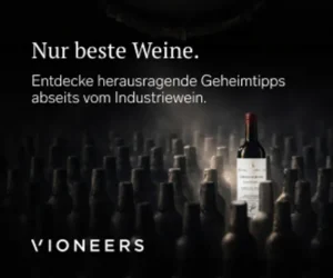 vioneers 300x250 - vioneers