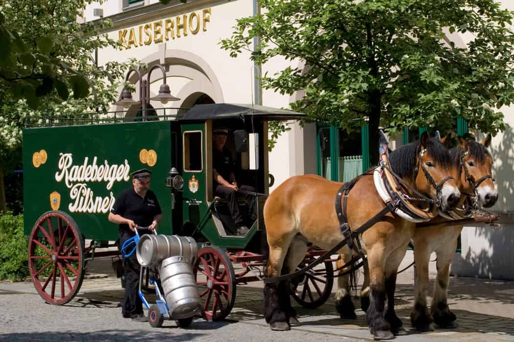 Radeberger Fassbierkutsche bei Belieferung des Radeberger Brauerei Ausschanks in Radeberg - getraenke, bier Bier-Erlebnisse: Brauereiführung und geselliger Zapferkurs in der Radeberger Exportbierbrauerei