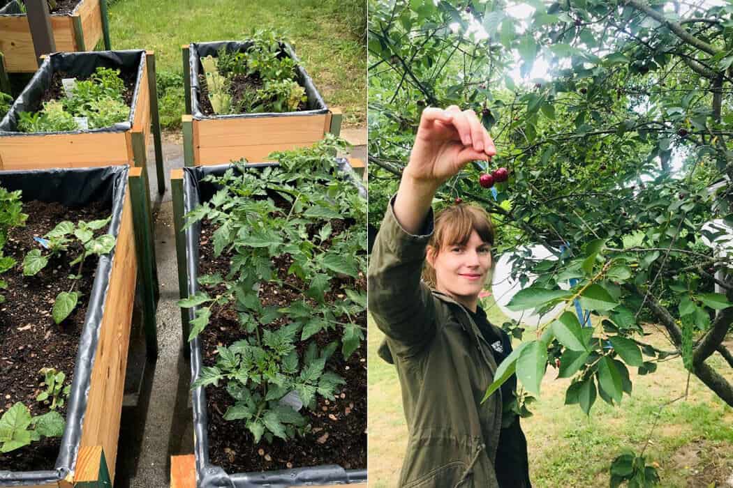 Ricarda Farnbacher Garten - interviews-portraits, gastronomie, food-nomyblog, events, catering Event-Catering mit Erzeugnissen aus eigenem Anbau: Besuch im „Garten Eden“ von Ricarda Farnbacher