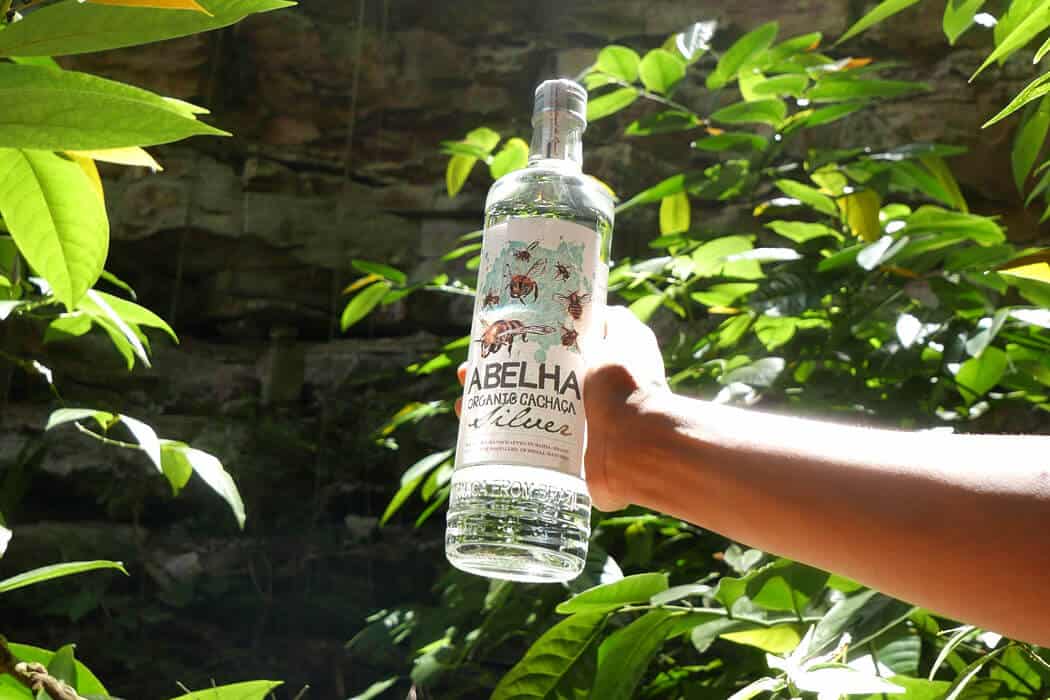spirituosen, getraenke Abelha Organic Cachaça aus Brasilien zeigt: Diese Spirituose kann viel mehr als nur in der Caipi verschwinden abelha cachaca silver - spirituosen, getraenke Abelha Organic Cachaça aus Brasilien zeigt: Diese Spirituose kann viel mehr als nur in der Caipi verschwinden