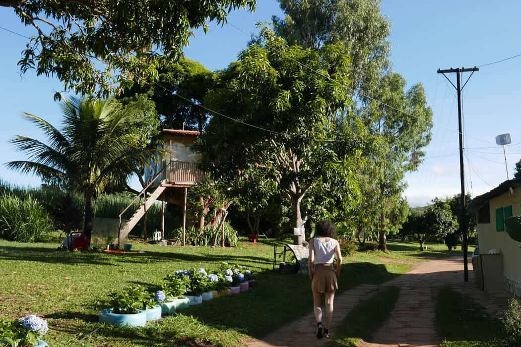 farmhouse - spirituosen, getraenke Abelha Organic Cachaça aus Brasilien zeigt: Diese Spirituose kann viel mehr als nur in der Caipi verschwinden