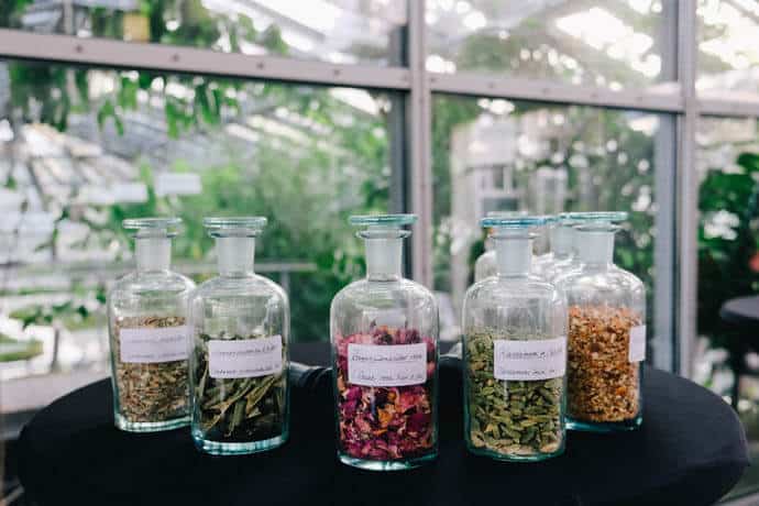 spirituosen, interviews-portraits, getraenke Ein Hochprozenter zum Geburtstag des Naturforschers: Humboldt Gin von den Spreewood Distillers humboldt gin botanicals - spirituosen, interviews-portraits, getraenke Ein Hochprozenter zum Geburtstag des Naturforschers: Humboldt Gin von den Spreewood Distillers