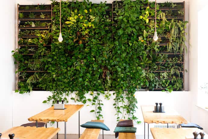 streetfood, management, gastronomie, food-nomyblog „Ein Konzept wie dieses müsste gefördert werden“ – Till Riekenbrauk schließt das Gastro-Testlabor „Laden Ein“ in Köln laden ein koeln - streetfood, management, gastronomie, food-nomyblog „Ein Konzept wie dieses müsste gefördert werden“ – Till Riekenbrauk schließt das Gastro-Testlabor „Laden Ein“ in Köln