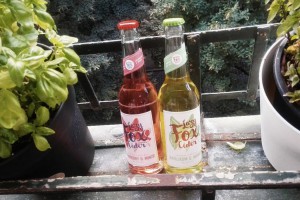 lazy fox cider 300x200 - lazy fox cider