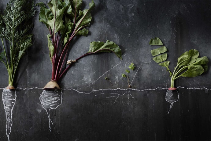 leaf to root - trends, medien-tools, getraenke, gastronomie, food-nomyblog 7 Gastronomie-Trends 2018