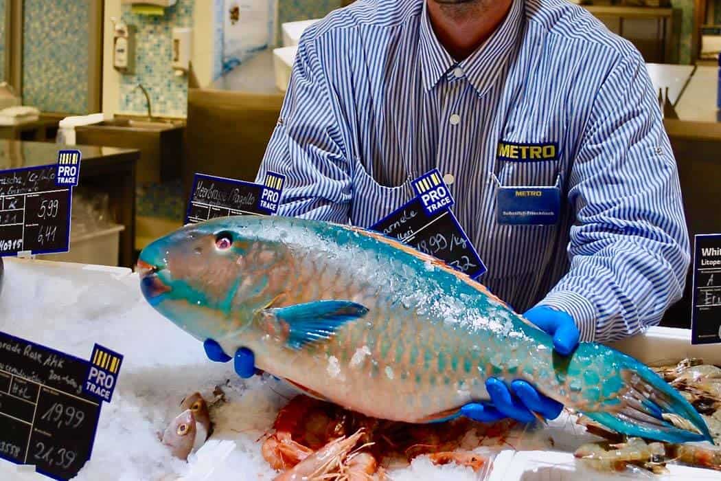 papageienfisch 1 - gastronomie, food-nomyblog Ein Tag in der METRO Berlin-Friedrichshain, dem Marktplatz der Gastronomie