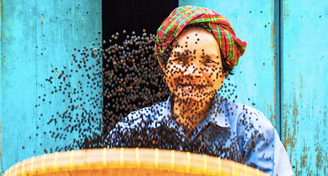 food-nomyblog Gewinnen: Pfeffer-Genussgruss von black snout pfeffer - food-nomyblog Gewinnen: Pfeffer-Genussgruss von black snout