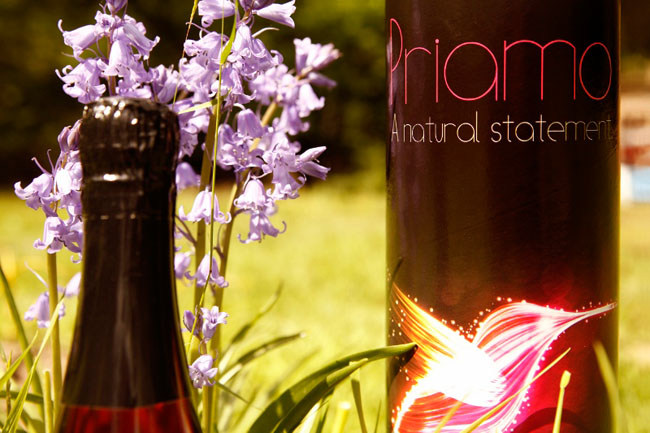 getraenke Start-Up launcht alkoholfreien Partydrink: Priamo priamo1 - getraenke Start-Up launcht alkoholfreien Partydrink: Priamo