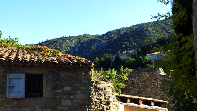 food-nomyblog Arômes de Provence: Online-Shop für biologische Blütenwasser, Lebensmittelaromen und Olivenöle aus Südfrankreich provence1 - food-nomyblog Arômes de Provence: Online-Shop für biologische Blütenwasser, Lebensmittelaromen und Olivenöle aus Südfrankreich