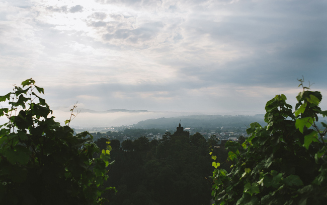 getraenke Der flüssige Ferdinand: Ferdinand´s Saar Dry Gin mit Riesling saarburger rausch - getraenke Der flüssige Ferdinand: Ferdinand´s Saar Dry Gin mit Riesling
