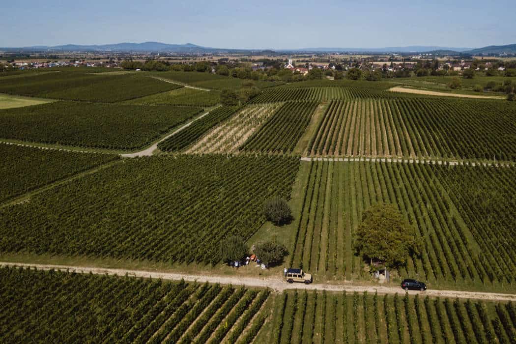 weinberge - wein, spirituosen, getraenke, events Vom Schwarzwald in die Welt: die Erfolgs&shy;geschichte von Belsazar